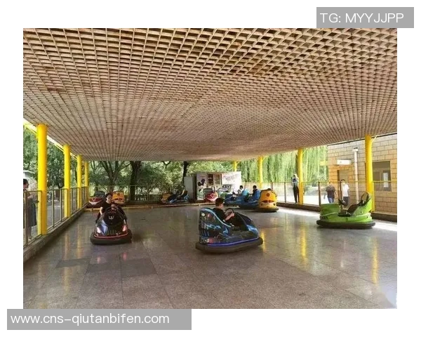 朝阳公园足球场周边休闲活动推荐与亲子互动体验指南